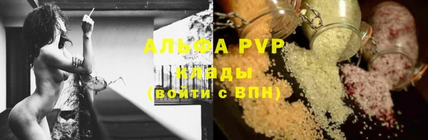 крисы Медвежьегорск