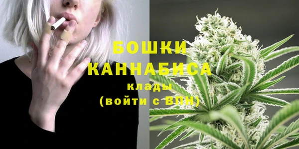 крисы Медвежьегорск
