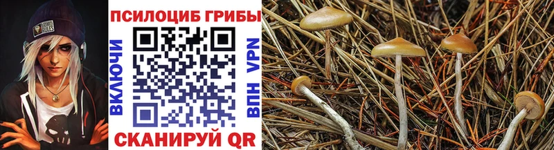 Купить  Остров  Галлюциногенные грибы мухоморы 